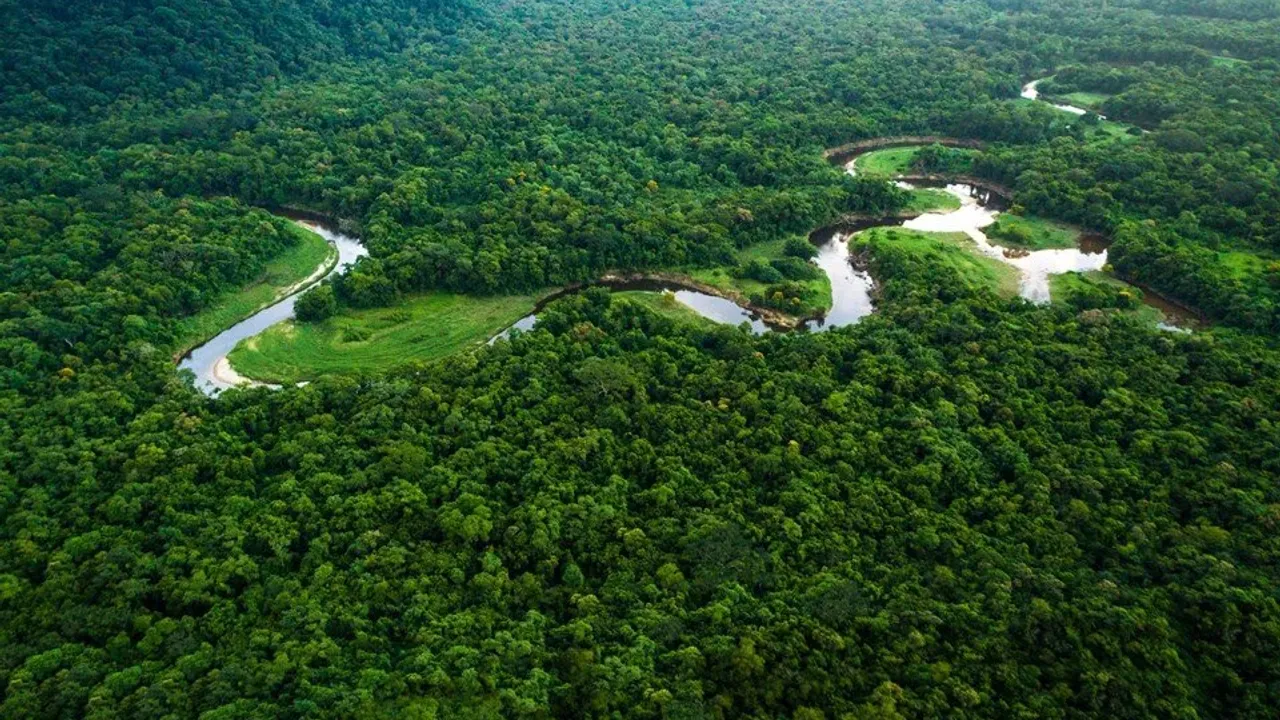 Amazon Yağmur Ormanları: 5 buçuk milyonluk alanı kaplayan dünyanın en büyük yağmur ormanı