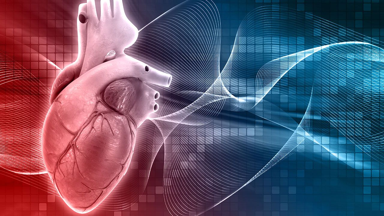 Kardiyoloji uzmanından sağlıklı bir kalp için 5 öneri!