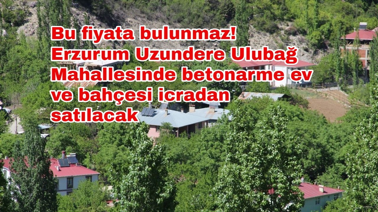 Bu fiyata bulunmaz! Erzurum Uzundere Ulubağ Mahallesinde betonarme ev ve bahçesi icradan satılacak