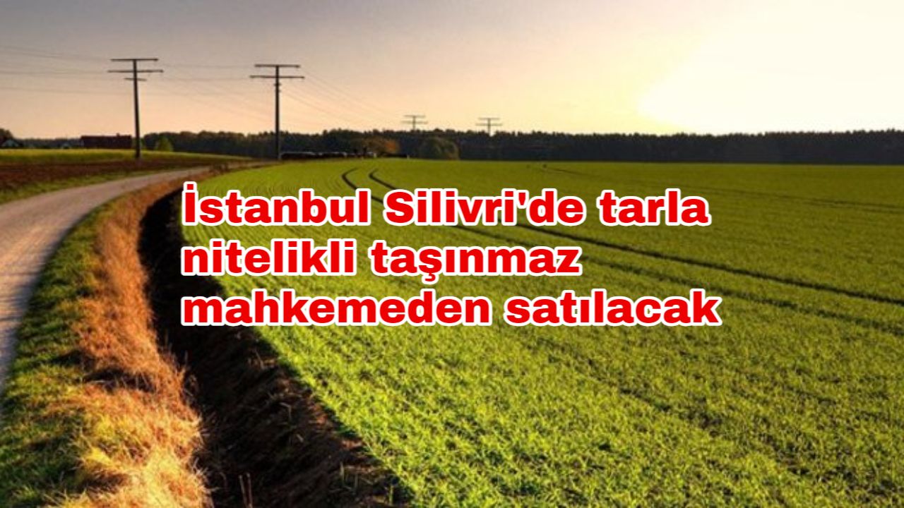 İstanbul Silivri'de tarla nitelikli taşınmaz mahkemeden satılacak