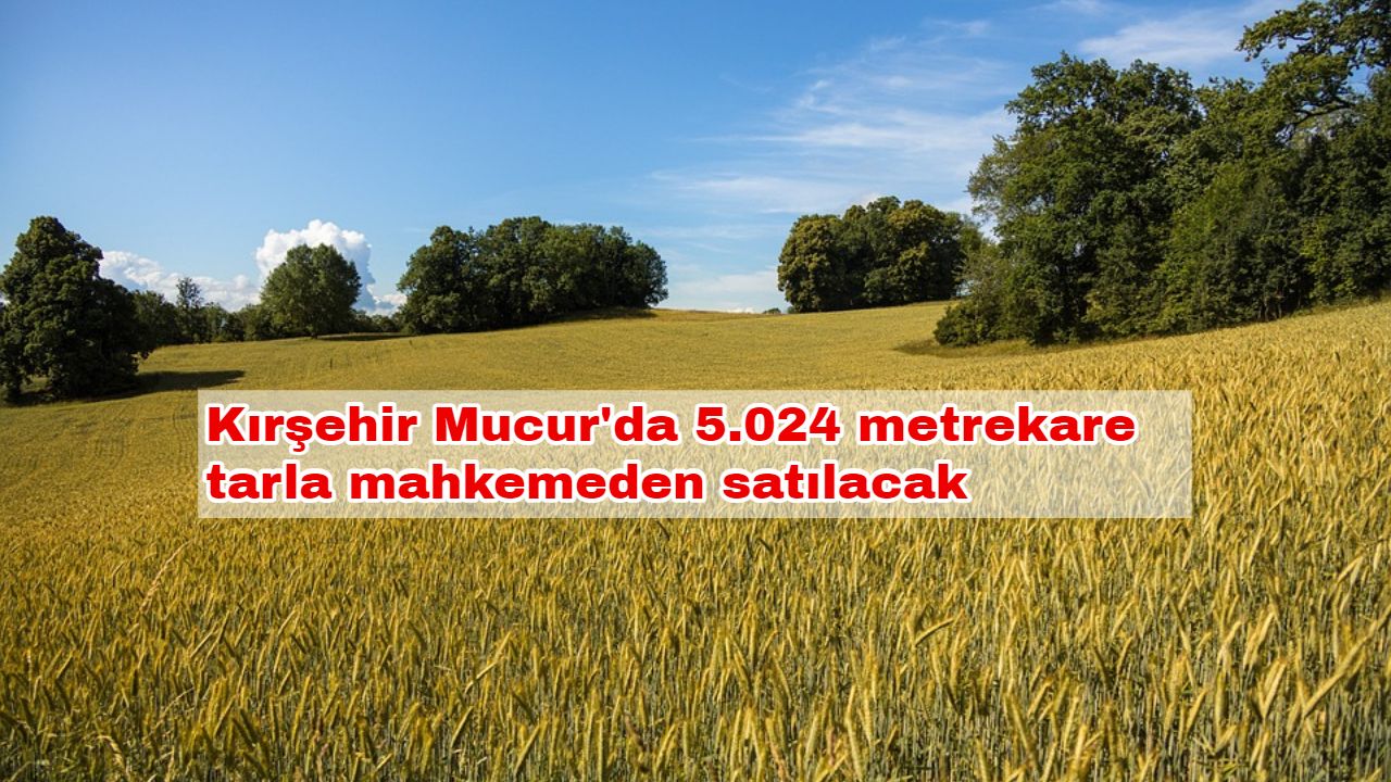 Kırşehir Mucur'da 5.024 metrekare tarla mahkemeden satılacak