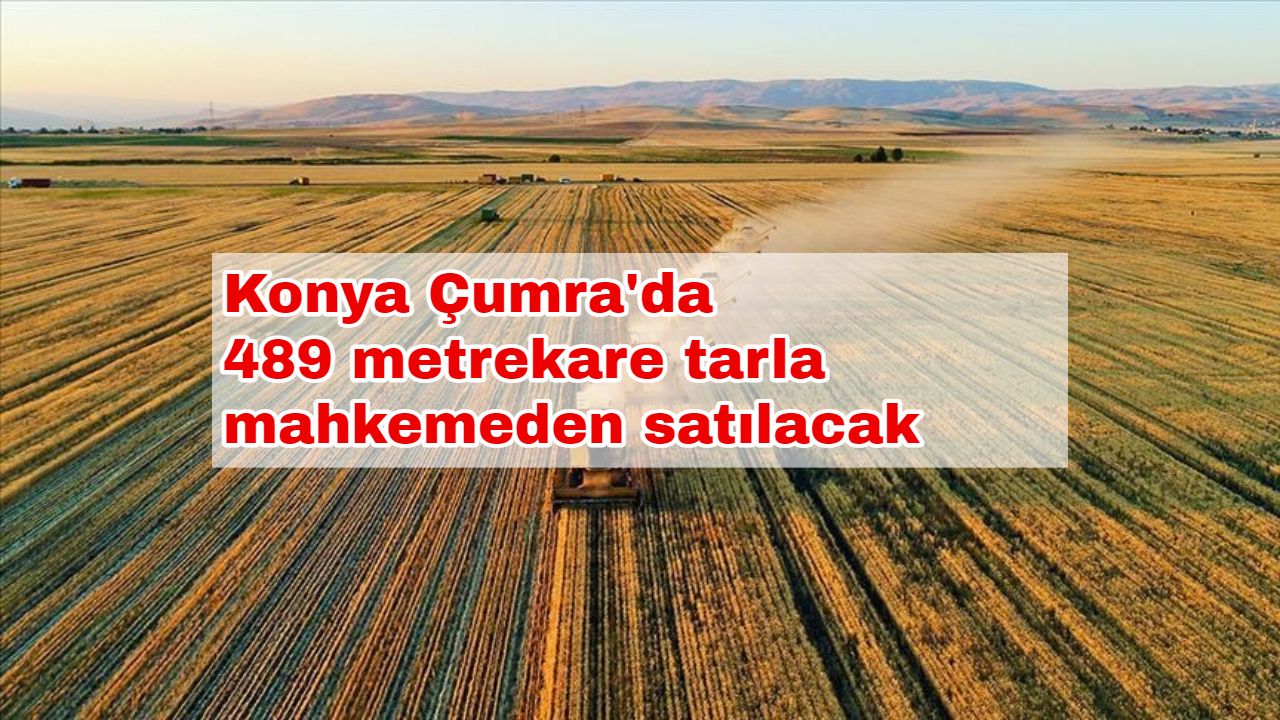 Konya Çumra'da 489 metrekare tarla mahkemeden satılacak
