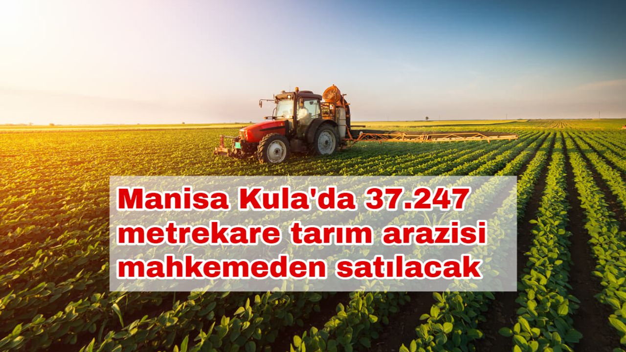 Manisa Kula'da 37.247 metrekare tarım arazisi mahkemeden satılacak