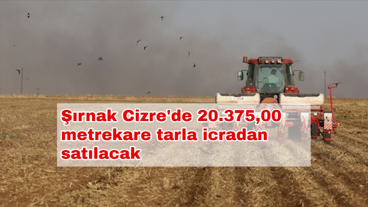 Şırnak Cizre'de 20.375,00 metrekare tarla icradan satılacak