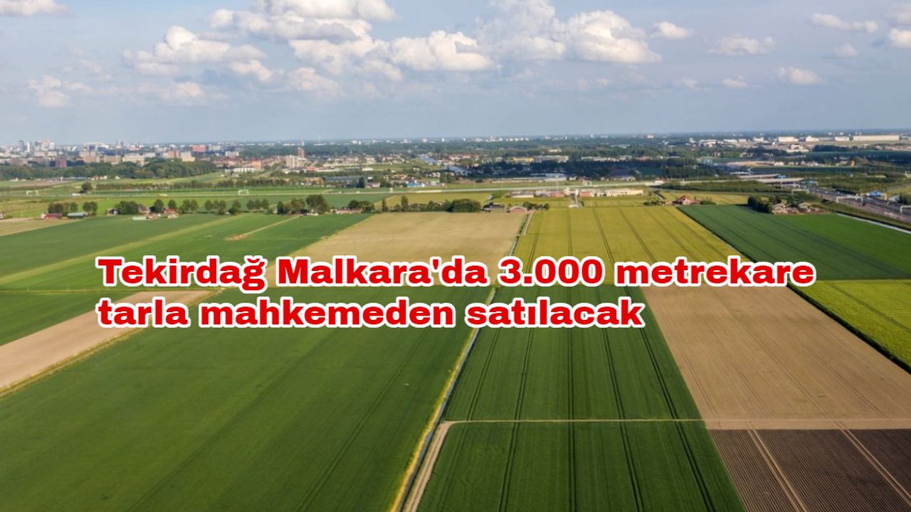 Tekirdağ Malkara'da 3.000 metrekare tarla mahkemeden satılacak