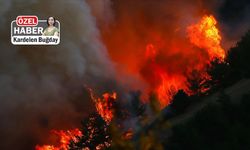 Sıcaklıkların artması orman yangınlarında kritik süreci uzatacak