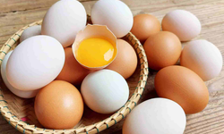 Bayat yumurta nasıl anlaşılır? Bayat yumurta zehirler mi?