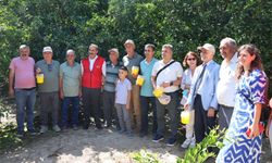 Kaliteli narenciye için üreticiye ‘Akdeniz Meyve Sineği Tuzağı’ dağıttılar