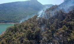 İzmir Menderes'teki orman yangını 20 saat sonra kontrol altına alındı