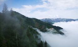Artvin'in Bulutların Üzerindeki Yeşil Cenneti: Maçahel Vadisi. Maçahel Vadisine Nasıl Gidilir?
