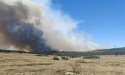 SON DAKİKA: İzmir'de ormanlık alanda korkutan yangın