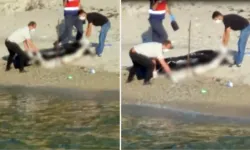 Dehşet veren görüntü: Kocaeli sahilde el, ayak ve başı kesilmiş kadın cesedi bulundu