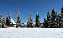 Ilgaz Dağı Milli Parkı Nerede? Ilgaz Milli Parkı’na Nasıl Gidilir? İşte Ilgaz Dağı Milli Parkı: Doğanın Güzel Sırları