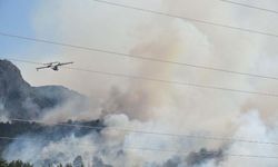 İzmir Menderes yanıyor! Orman yangını 2'nci günde
