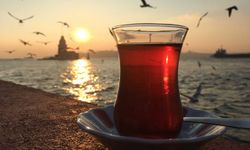 Türkiye’nin Çay Tutkusu! Türkiye’de Çay Neden Çok Seviliyor? Hangi Çay Türü Fazla Tüketiliyor? Çay’ın Tarihi Nedir?