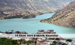 Siirt yarın tüm gün elektriksiz kalacak – 14 Ekim Siirt Elektrik Kesintisi