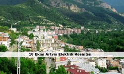 Artvin’de yaşayanlar dikkat! O ilçede saatlerce kesinti yaşanacak – 18 Ekim Artvin Elektrik Kesintisi