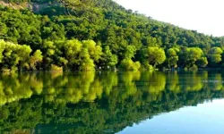 İzmir Menemen'de saklı cennet: Karagöl Tabiat Parkı'na nasıl gidilir?