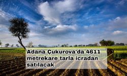 Adana Çukurova'da 4611 metrekare tarla icradan satılacak