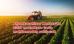 Afyonkarahisar Merkez'de 2337 metrekare tarla mahkemeden satılacak