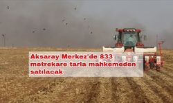 Aksaray Merkez'de 833 metrekare tarla mahkemeden satılacak