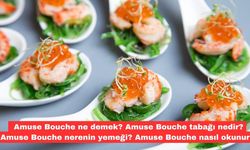 Amuse Bouche ne demek? Amuse Bouche tabağı nedir? Amuse Bouche nerenin yemeği? Amuse Bouche nasıl okunur?