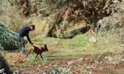 Annesinin ellerinden kayıp gitti! Sele kapılan Asel bebeği eğitimli köpekler arıyor