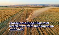 Antalya Gazipaşa'da 3.198 metrekare tarla mahkemeden satılacak