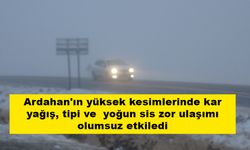 Ardahan'ın yüksek kesimlerinde kar yağış, tipi ve  yoğun sis zor ulaşımı olumsuz etkiledi