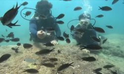 Antalya’nın su altı güzelliklerine Avrupalılar daha çok ilgi gösteriyor