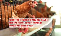 Balıkesir Bandırma'da 7.154 metrekare tavuk çiftliği icradan satılacak