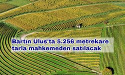 Bartın Ulus'ta 5.256 metrekare tarla mahkemeden satılacak