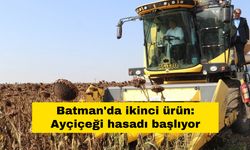 Batman'da ikinci ürün: Ayçiçeği hasadı başlıyor