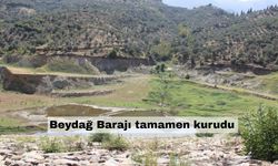 Susuzluk kapıda! İzmir'in bir barajı tamamen kurudu!