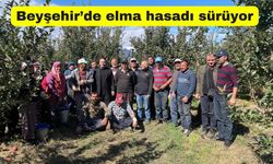 Beyşehir’de elma hasadı sürüyor