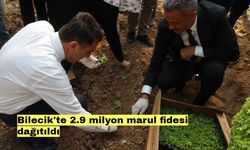 Bilecik'te 2.9 milyon marul fidesi dağıtıldı