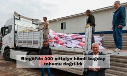 Bingöl’de 400 çiftçiye hibeli buğday tohumu dağıtıldı