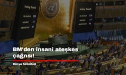 BM'den insani ateşkes çağrısı!