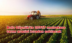 Bolu Göynük'te 20757 metrekare tarım arazisi icradan satılacak