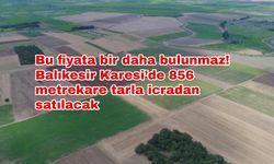 Bu fiyata bir daha bulunmaz! Balıkesir Karesi’de 856 metrekare tarla icradan satılacak