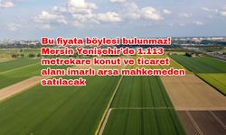 Bu fiyata böylesi bulunmaz! Mersin Yenişehir'de 1.113 metrekare konut ve ticaret alanı imarlı arsa mahkemeden satılacak