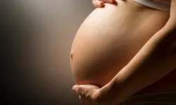 "Hamilelik döneminde D vitamini hayati öneme sahip olabiliyor"