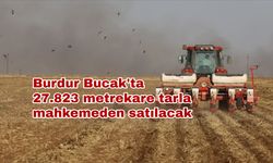 Burdur Bucak'ta 27.823 metrekare tarla mahkemeden satılacak