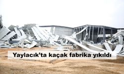 Bursa Yaylacık’ta kaçak fabrika yıkıldı
