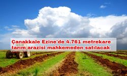 Çanakkale Ezine'de 4.761 metrekare tarım arazisi mahkemeden satılacak