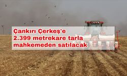 Çankırı Çerkeş'te 2.399 metrekare tarla mahkemeden satılacak