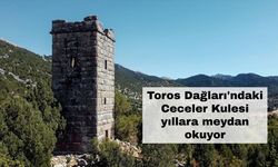 Ceceler Kulesi: Toroslar'ın tarihi mirası