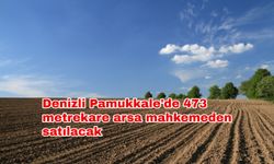 Denizli Pamukkale'de 473 metrekare arsa mahkemeden satılacak