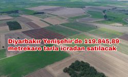 Diyarbakır Yenişehir'de 119.845,89 metrekare tarla icradan satılacak