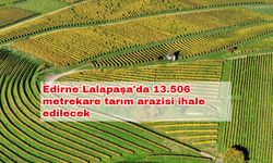 Edirne Lalapaşa'da 13.506 metrekare tarım arazisi ihale edilecek